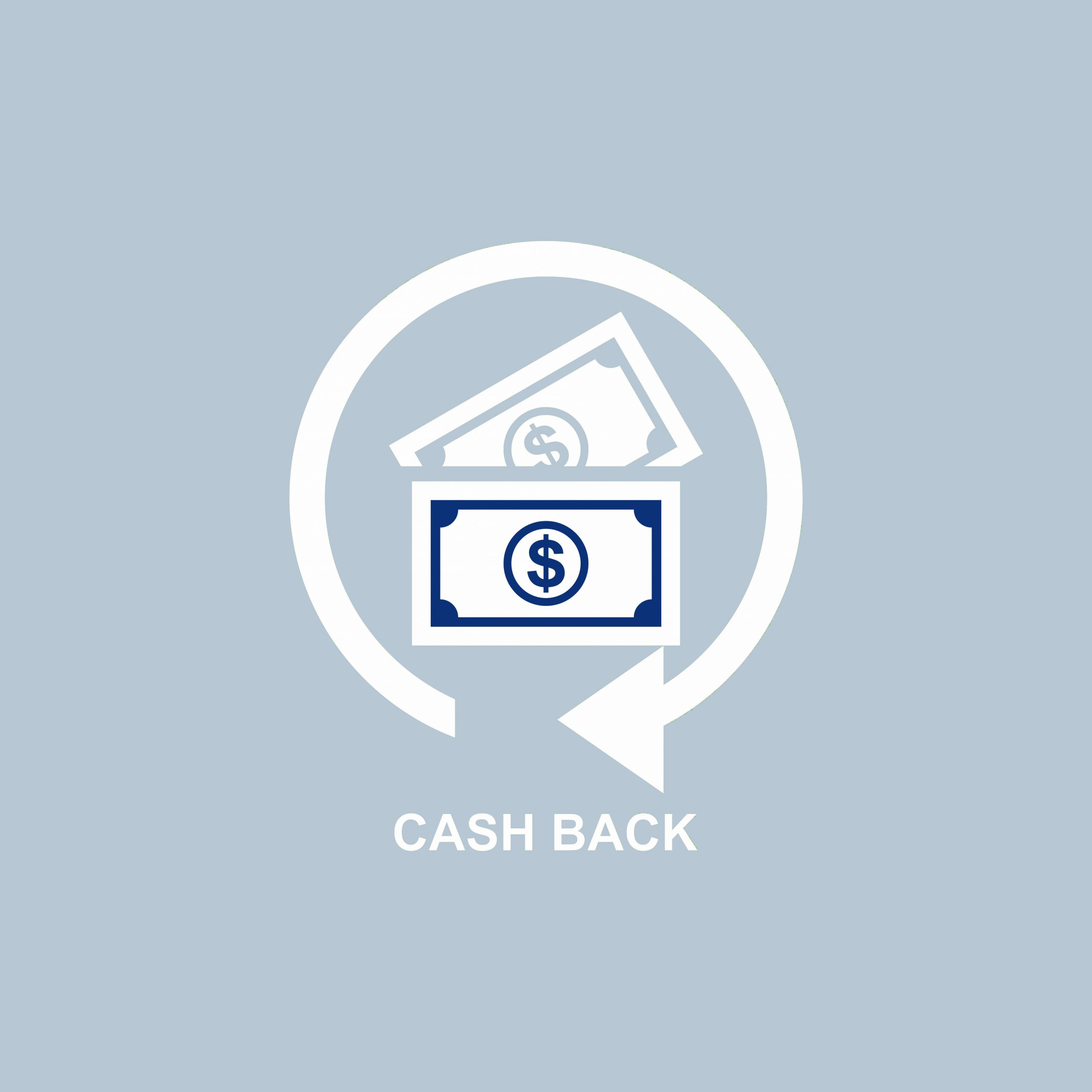 cash back icon, Business icon vector